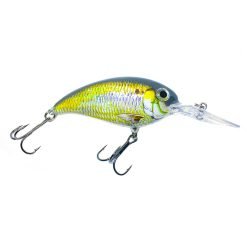 Alewife